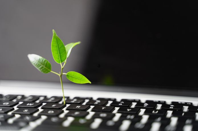 Auren Energia Apresenta E-commerce para Créditos de Carbono