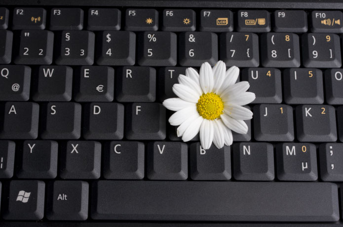 Entrega expressa ajuda a fidelizar cliente e manter padrão de qualidade no e-commerce florista